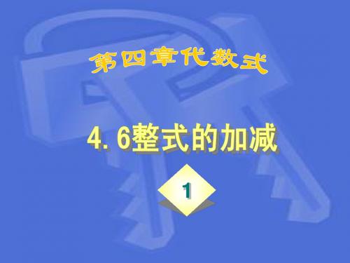 4.6整式的加减(1)新浙教版