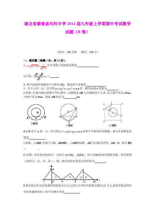 湖北省蕲春县刘河中学2014届九年级上学期期中考试数学试题(B卷)