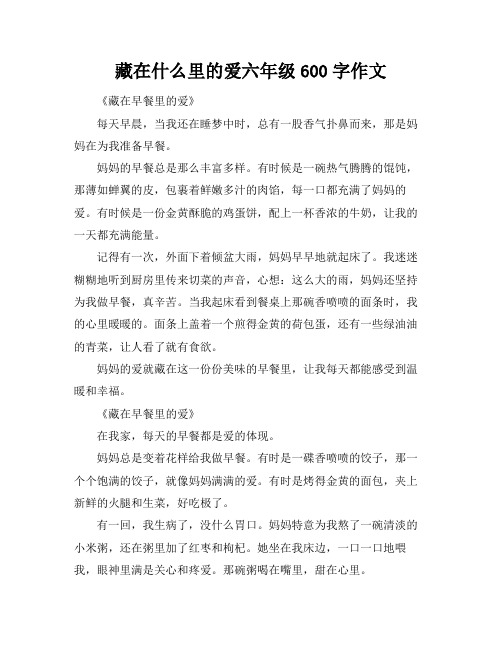 藏在什么里的爱六年级600字作文