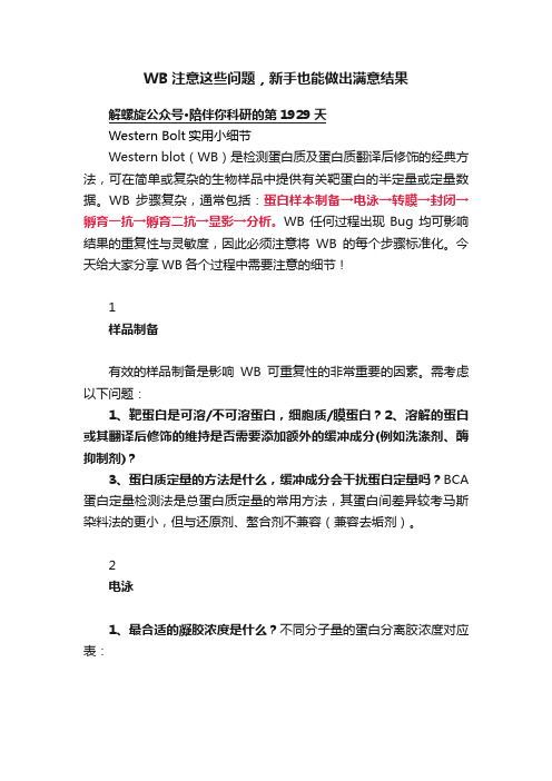 WB注意这些问题，新手也能做出满意结果