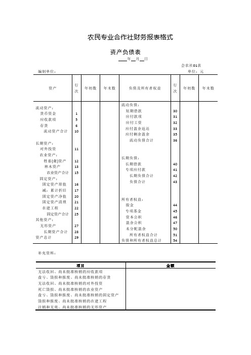 农民专业合作社资产负债表格式