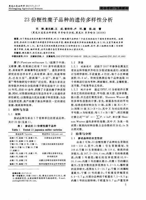 23份粳性糜子品种的遗传多样性分析