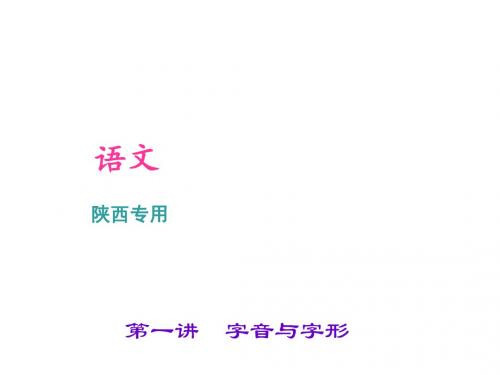 2017中考(陕西)总复习第1部分积累和运用第一讲字音与字形(语文)