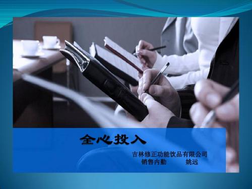 销售内勤工作总结及规划(PPT)