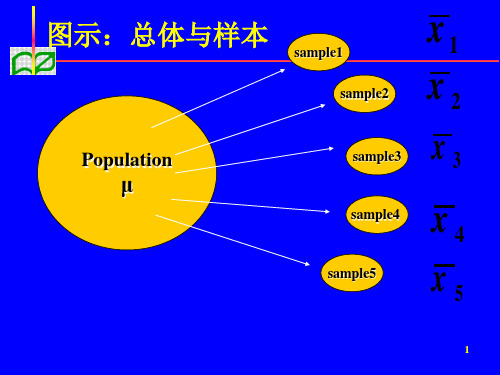 总体均数估计ppt课件46页PPT