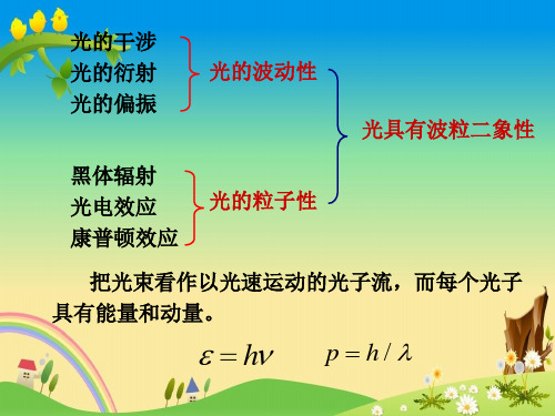 【大学物理】§2-5 实物粒子的波动性