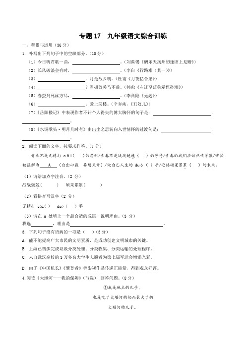 专题17 九年级语文综合训练-八年级升九年级语文衔接训练