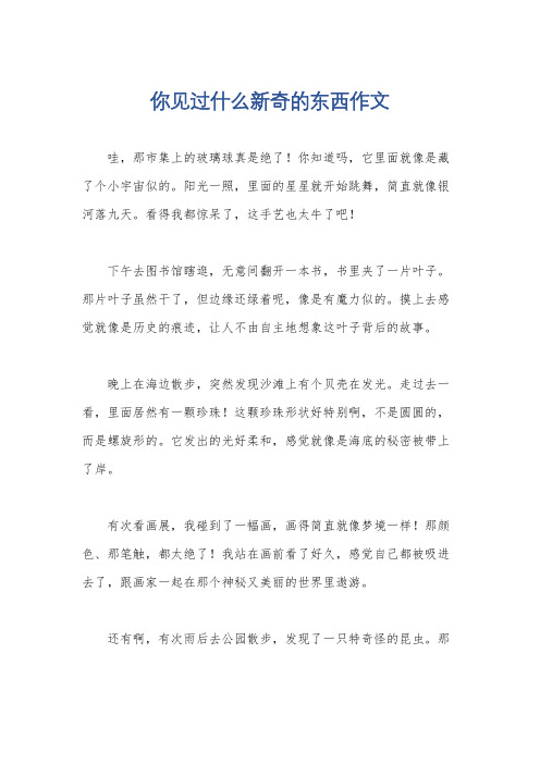 你见过什么新奇的东西作文