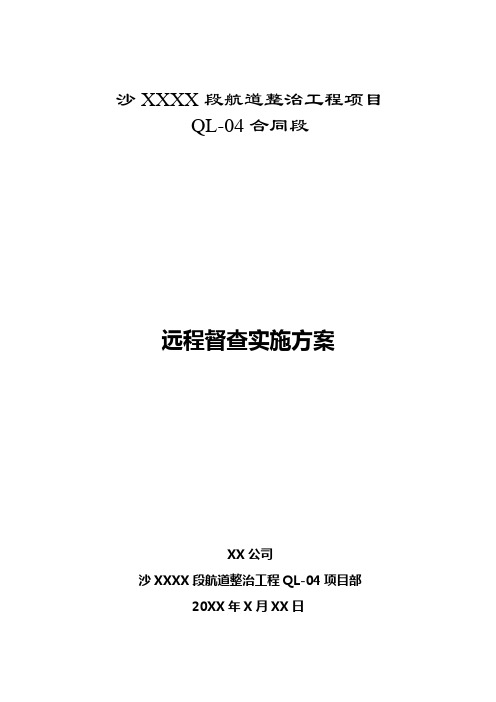 远程督查实施方案