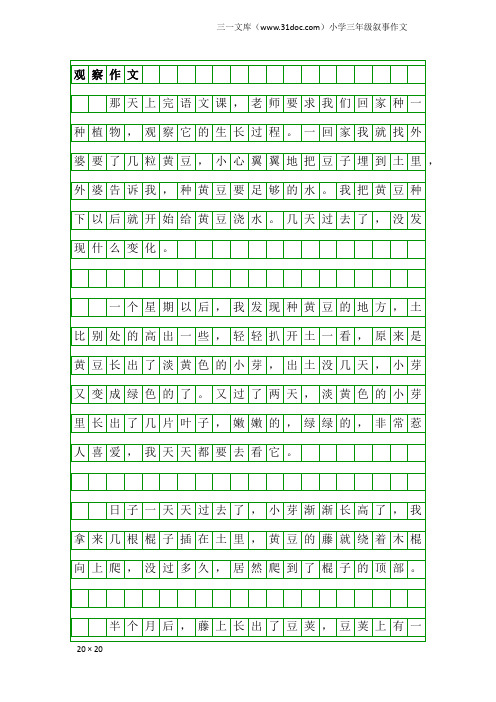 小学三年级叙事作文：观察作文