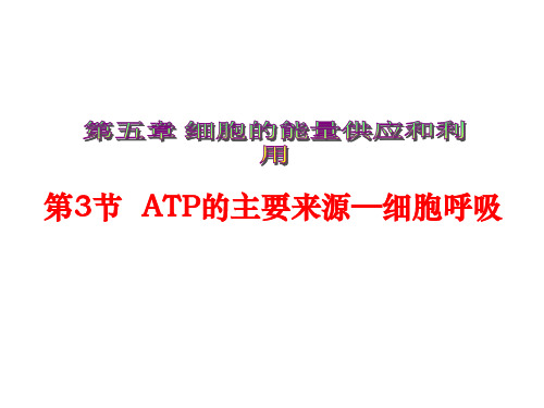 高中生物必修1《分子与细胞》(新人教版)：53《ATP的主要来源—细胞