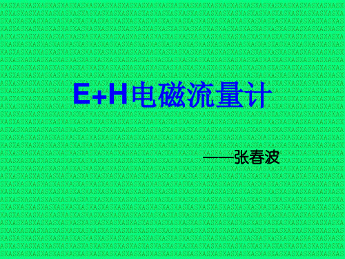 E+H电磁流量计