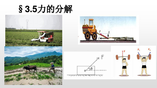 高一物理必修一力的分解