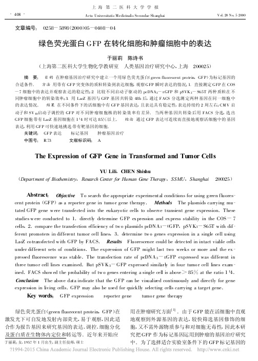 绿色荧光蛋白GFP在转化细胞和肿瘤细胞中的表达_于丽莉