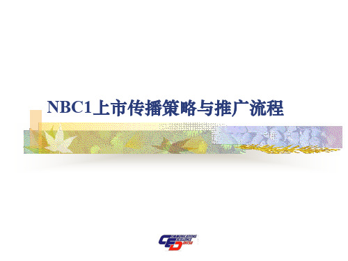 汽车上市传播策略跟推广流程(PPT 36页)(1)资料文档