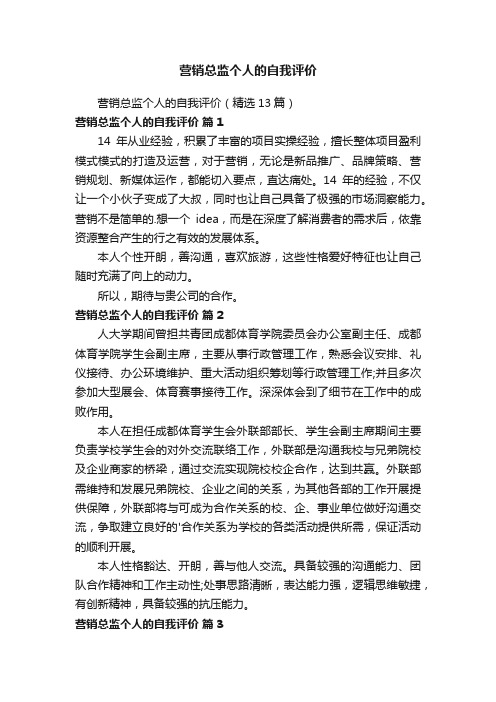 营销总监个人的自我评价