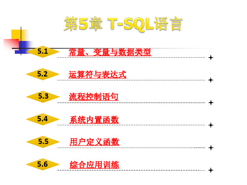 SQL server 2008 T-SQL语言