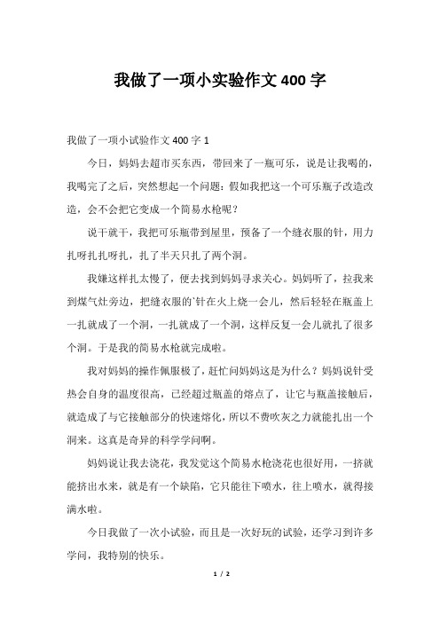 我做了一项小实验作文400字