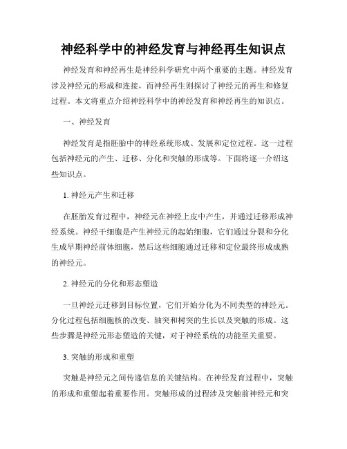 神经科学中的神经发育与神经再生知识点