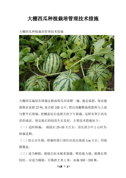 大棚西瓜种植栽培管理技术措施