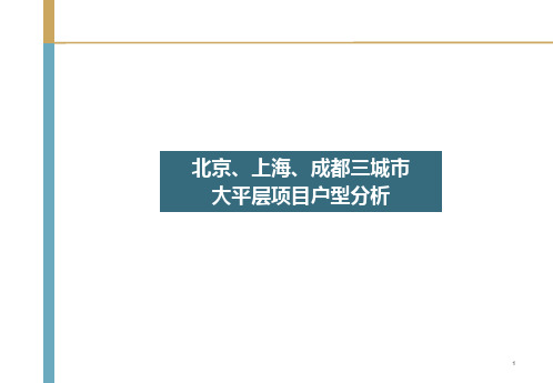 北京上海成都三城市大平层项目户型分析29PPT