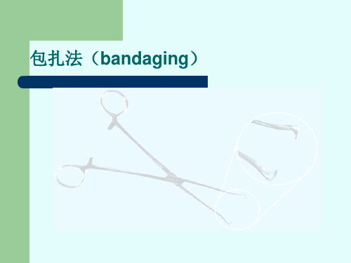 兽医外科学课件：包扎法