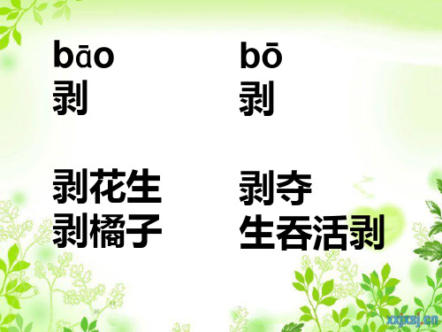 部编五年级上人教《5 剥豆》郑薇PPT课件 一等奖新名师优质课获奖比赛公开免费下载