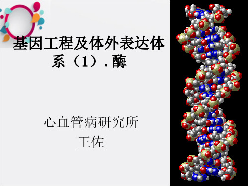 《基因克隆》PPT课件