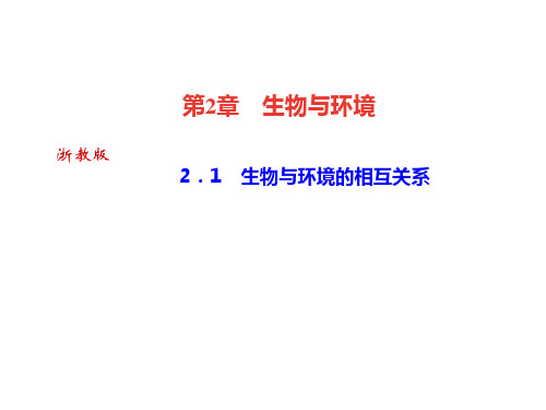 秋浙教版九年级科学下册习题课件:2.1 生物与环境的相互关系 (共25张PPT)