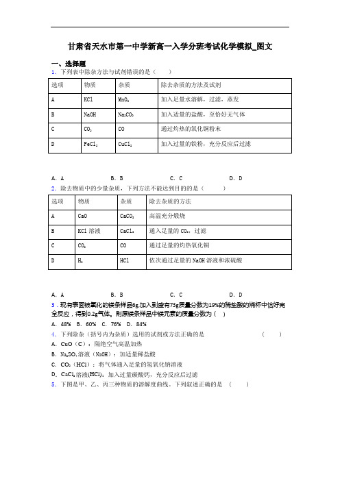 甘肃省天水市第一中学新高一入学分班考试化学模拟_图文