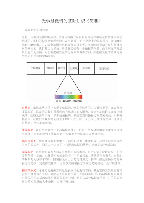 光学显微镜的基础知识（简要）