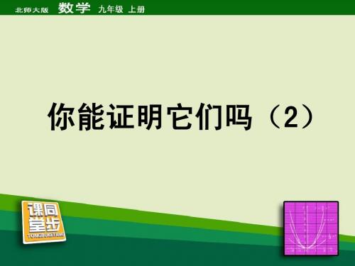 《你能证明它们吗》第二课时同步课堂教学课件