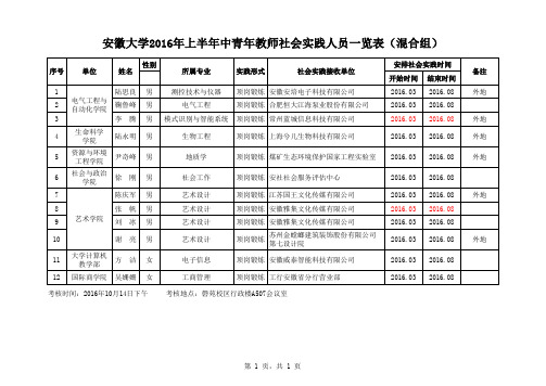 安徽大学中青年教师社会实践人员一览表(考核分组)