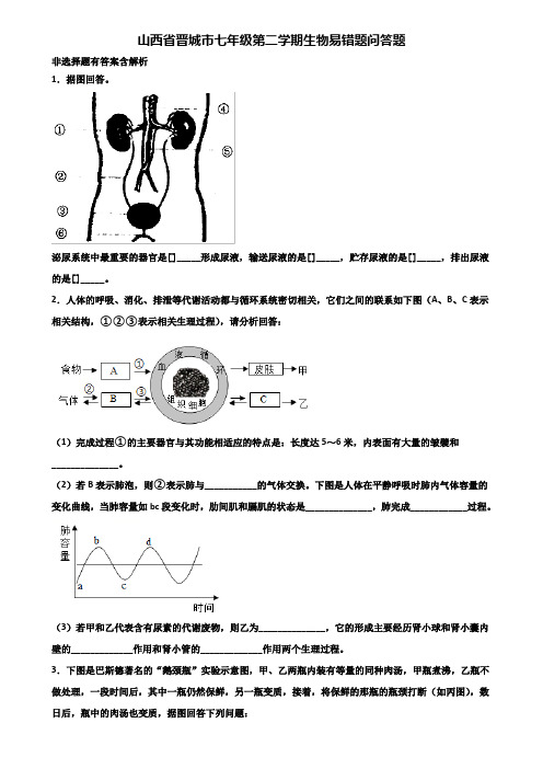 山西省晋城市七年级第二学期生物易错题问答题含解析