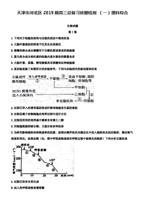 天津市河北区2019届高三总复习质量检测(一)理科综合试题(Word版含答案))