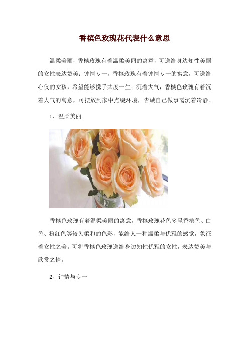 香槟色玫瑰花代表什么意思