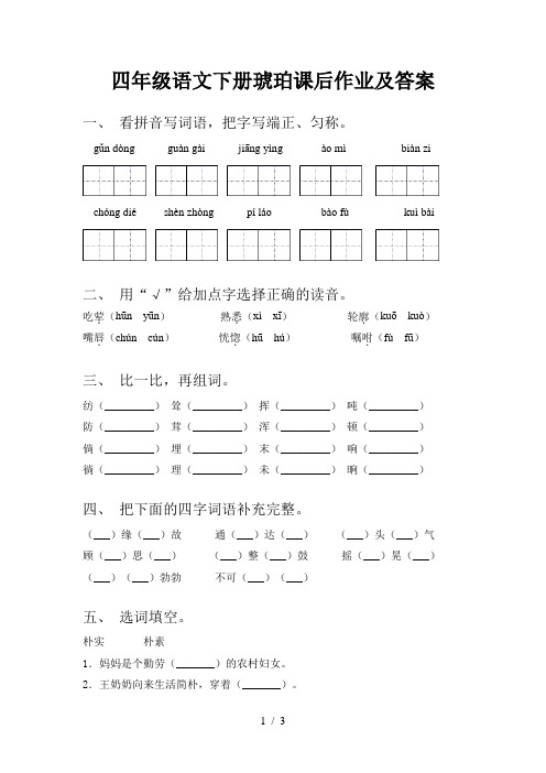 四年级语文下册琥珀课后作业及答案