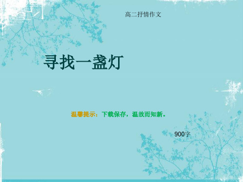 高二抒情作文《寻找一盏灯》900字