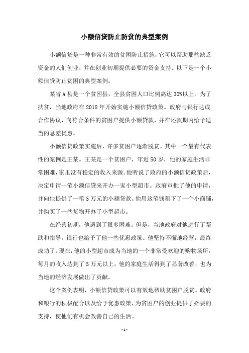 小额信贷防止防贫的典型案例