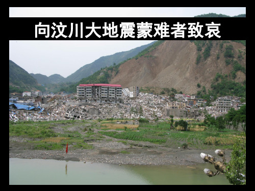 陈运泰：汶川大地震的成因断裂、破裂过程与成灾机理(2008-09-17)郑州