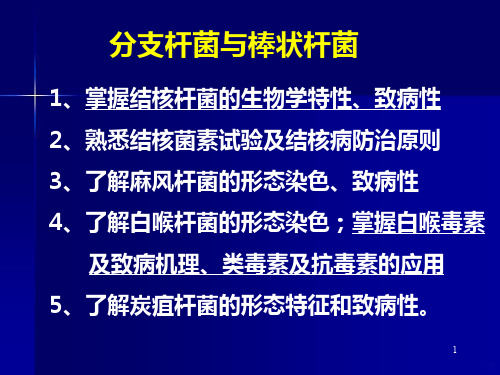 分支杆菌与棒状杆菌-白喉、结核PPT课件