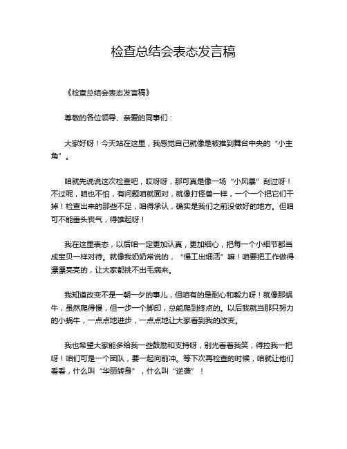 检查总结会表态发言稿