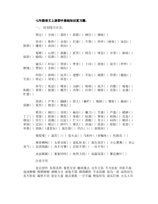 七年级语文上册期中基础知识复习题
