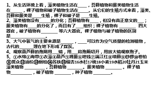 绿色植物的蒸腾作用(初中生物适用于人教版济南版)