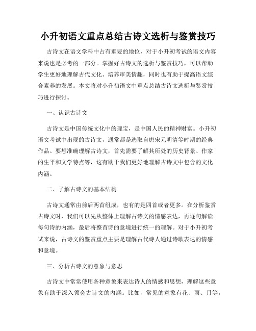 小升初语文重点总结古诗文选析与鉴赏技巧