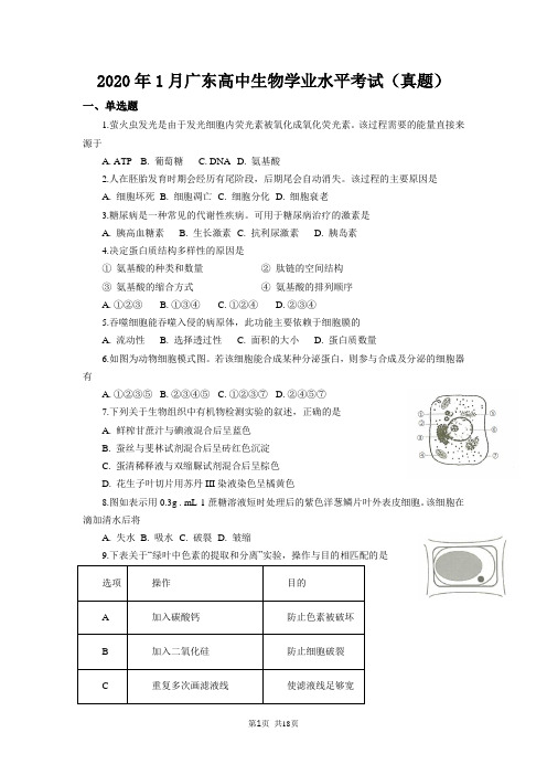 2020年 广东高中生物学业水平考试试卷(样题及1月、6月真题)