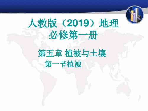 5.1植被教学课件高中地理人教版必修一