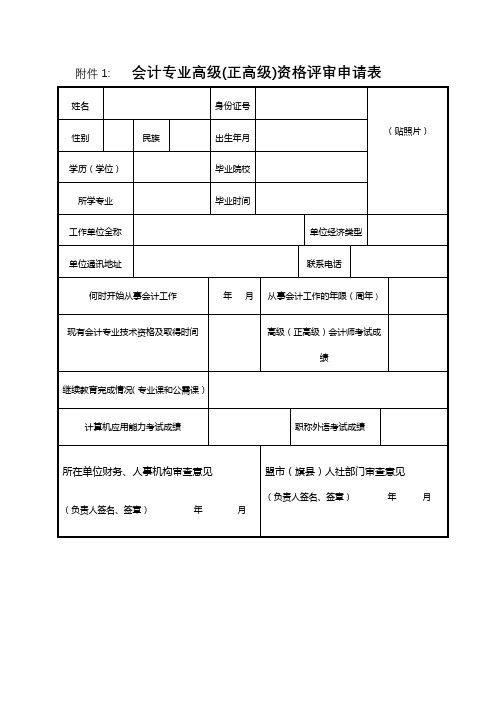 会计专业高级(正高级)资格评审申请表【模板】