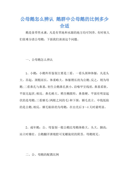 公母鹅怎么辨认 鹅群中公母鹅的比例多少合适