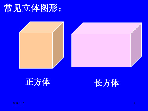 由立体图形到视图(课堂PPT)